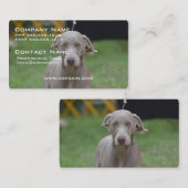 Entzückendes Weimaraner Visitenkarte (Vorne/Hinten)