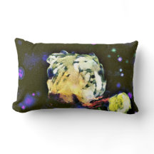 Envisionist: Eine Celestial-Reise