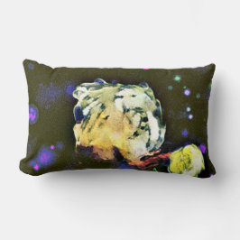 Envisionist: Eine Celestial-Reise Lendenkissen