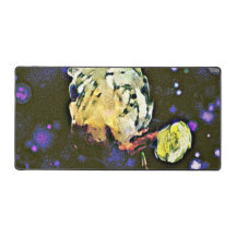 Envisionist: Eine Celestial-Reise