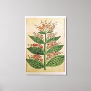 Enzian mit eingebildeten Blumen Leinwanddruck
