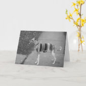 Enzo Gruß-Karte Karte (Gelbe Blume)