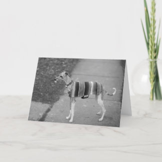 Enzo Gruß-Karte Karte