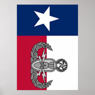 EOD TX Flaggenplakat Poster