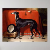 Eos, ein Lieblings-Greyhound von Prinz Albert Poster (Vorne)