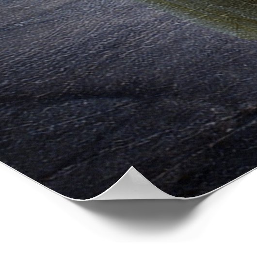 Eowyn mit Schwert Poster (Ecke)