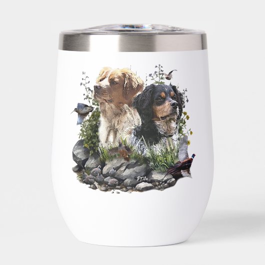 Epagneul Breton, Bretagne Spaniel (Vorderseite)