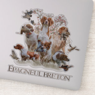 Epagneul Breton, Bretagne Spaniel Aufkleber