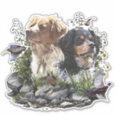 Epagneul Breton, Bretagne Spaniel Aufkleber (Vorderseite)