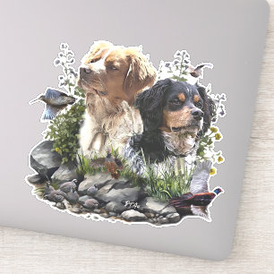Epagneul Breton, Bretagne Spaniel Aufkleber
