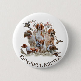Epagneul Breton, Bretagne Spaniel Button