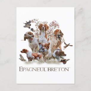 Epagneul Breton, Bretagne Spaniel Feiertagspostkarte