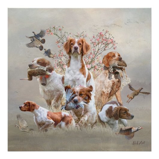 Epagneul Breton, Bretagne Spaniel Fotodruck (Vorne)