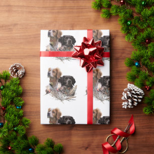 Epagneul Breton, Bretagne Spaniel Geschenkpapier