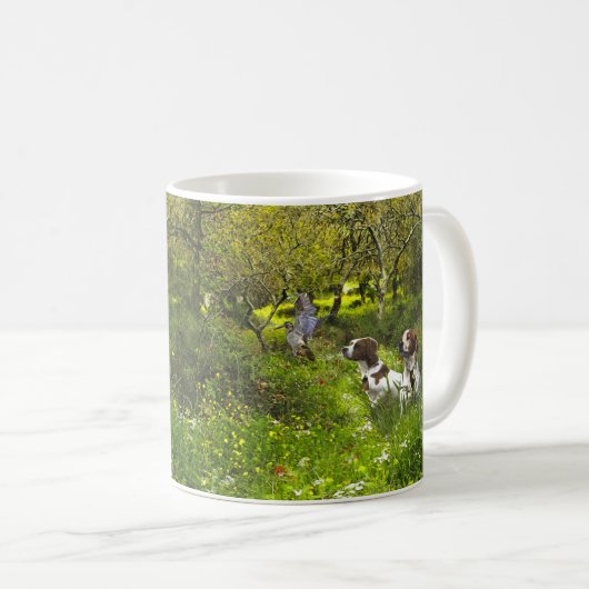 Epagneul Breton, Bretagne Spaniel Kaffeetasse (VorderseiteRechts)