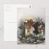 Epagneul Breton, Bretagne Spaniel Postkarte (Vorne/Hinten)