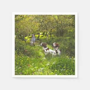 Epagneul Breton, Bretagne Spaniel Serviette