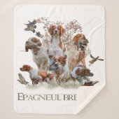 Epagneul Breton, Bretagne Spaniel Sherpadecke (Vorderseite)