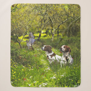 Epagneul Breton, Bretagne Spaniel Sherpadecke