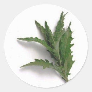 Epazote Runder Aufkleber