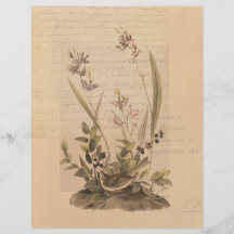 Ephemera 5 Scrapbook Paper