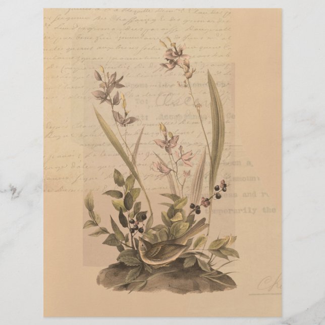 Ephemera 5 Scrapbook Paper (Vorderseite)