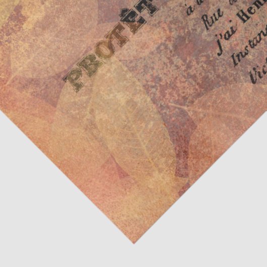 Ephemera Autumn Paper Series Design 19 Seidenpapier (Detail)