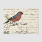 Ephemera Bird und Skript Seidenpapier (Vorderseite)