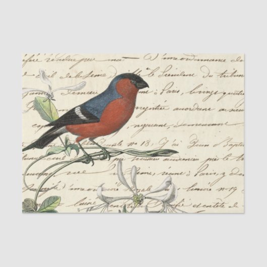 Ephemera Bird und Skript Seidenpapier (Vorderseite)