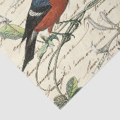 Ephemera Bird und Skript Seidenpapier (Ausschnitt)