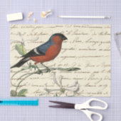 Ephemera Bird und Skript Seidenpapier (Handwerk)