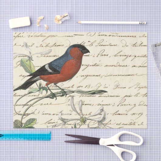 Ephemera Bird und Skript Seidenpapier (Handwerk)