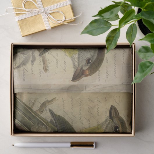 Ephemera Birds und Script Seidenpapier (Geschenk)