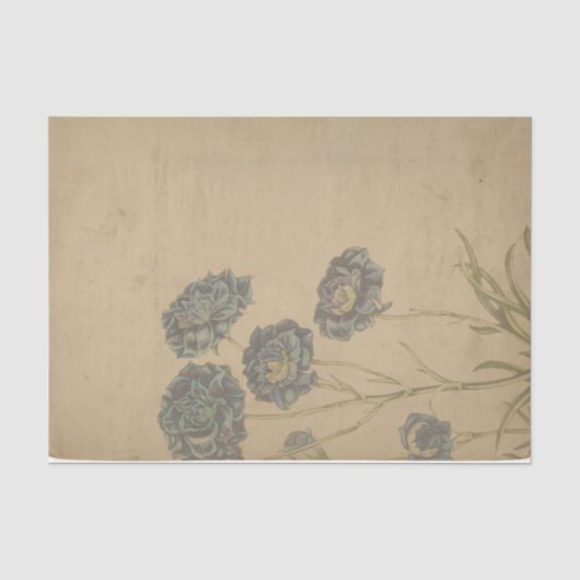 Ephemera-Blatt-Design-Serie #1 Seidenpapier (Vorderseite)