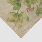 Ephemera-Blatt-Design-Serie #5 Seidenpapier (Ausschnitt)