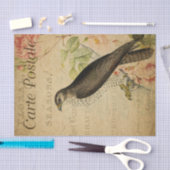 Ephemera Buzzard Bird of Prey Decoupage Seidenpapier (Handwerk)