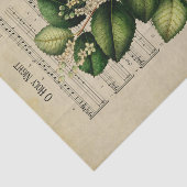 Ephemera Christlich Song O Holy Night Decoupage Seidenpapier (Ausschnitt)