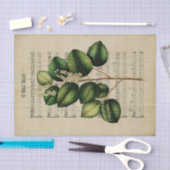 Ephemera Christlich Song O Holy Night Decoupage Seidenpapier (Handwerk)