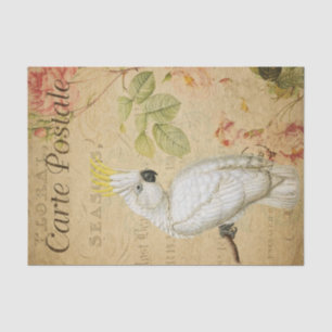 Ephemera Cockatoo Bird Decoupage Seidenpapier