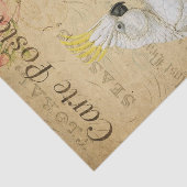 Ephemera Cockatoo Bird Decoupage Seidenpapier (Ausschnitt)