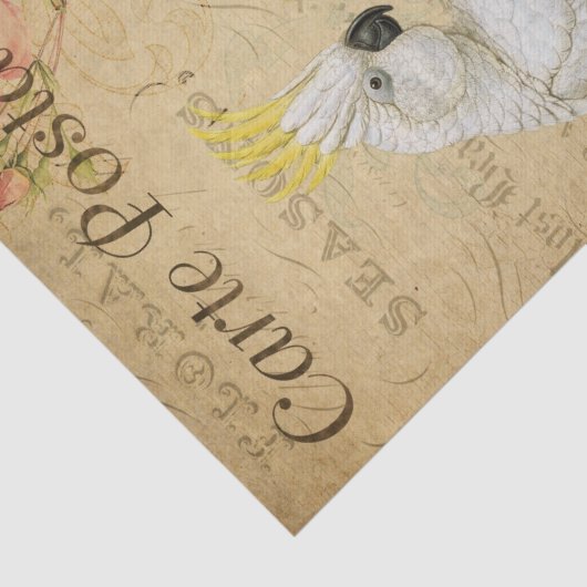 Ephemera Cockatoo Bird Decoupage Seidenpapier (Ausschnitt)
