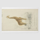 Ephemera Decoupage Giraffe Seidenpapier (Vorderseite)