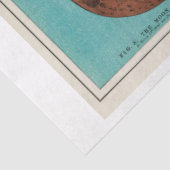 Ephemera Decoupage Vintage Eclipse of the Moon Seidenpapier (Ausschnitt)