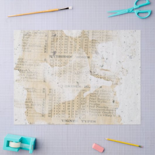 Ephemera Distressed Paper Series Design 3 Seidenpapier (Basteln)