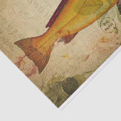 Ephemera farbenfrohe Lachsbarsch Seidenpapier (Ausschnitt)