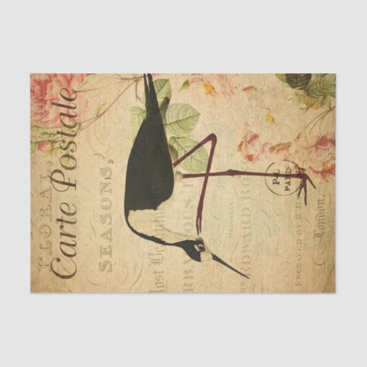 Ephemera French Postcard Avocet Bird Decoupage Seidenpapier (Vorderseite)