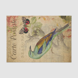 Ephemera French Postcard Bird Butterfly Decoupage Seidenpapier