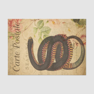 Ephemera French Postcard Black Snake Decoupage Seidenpapier