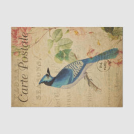 Ephemera French Postcard Blue Jay Bird Decoupage Seidenpapier