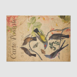 Ephemera French Postcard Flycatcher Bird Decoupage Seidenpapier